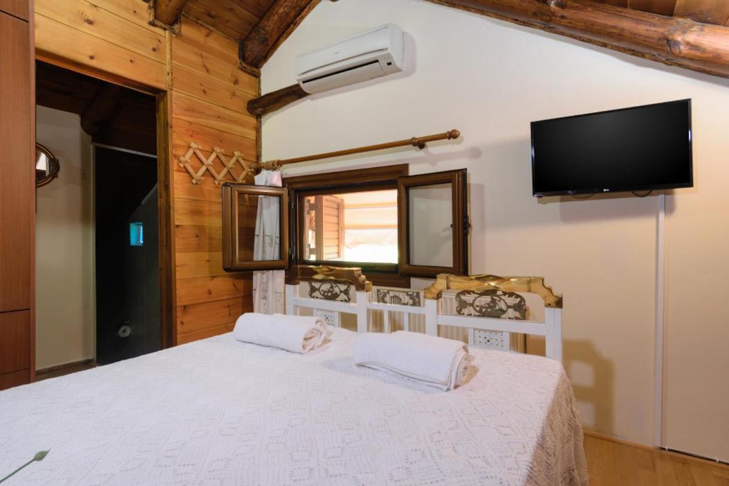 Dimitris'S Country House Agia  Экстерьер фото