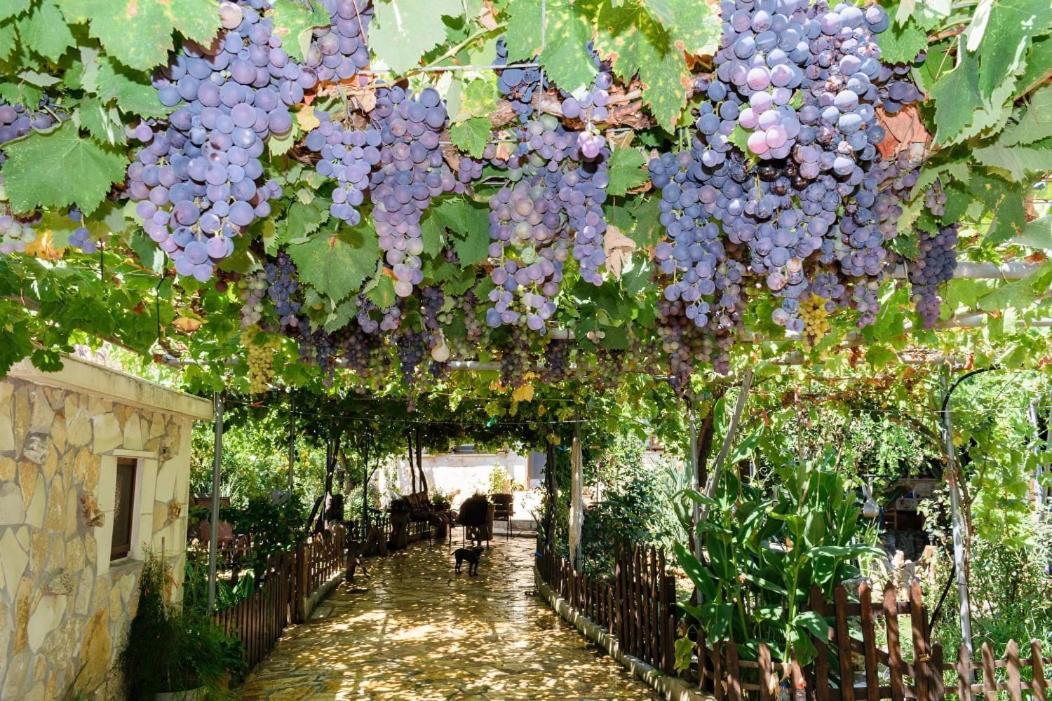 Dimitris'S Country House Agia  Экстерьер фото