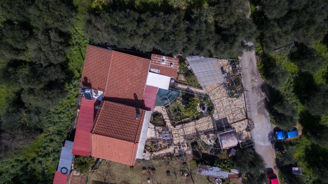 Dimitris'S Country House Agia  Экстерьер фото