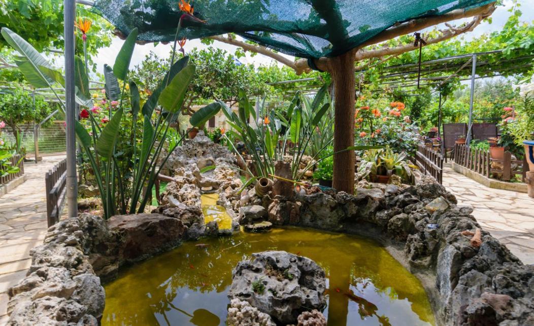 Dimitris'S Country House Agia  Экстерьер фото