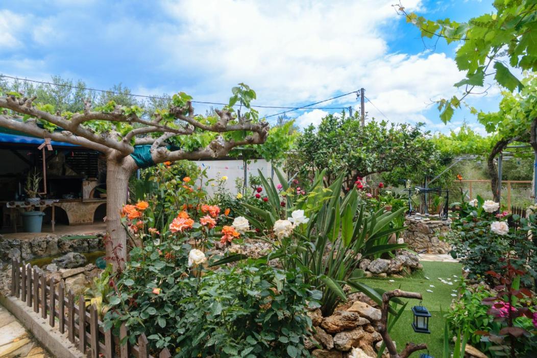 Dimitris'S Country House Agia  Экстерьер фото