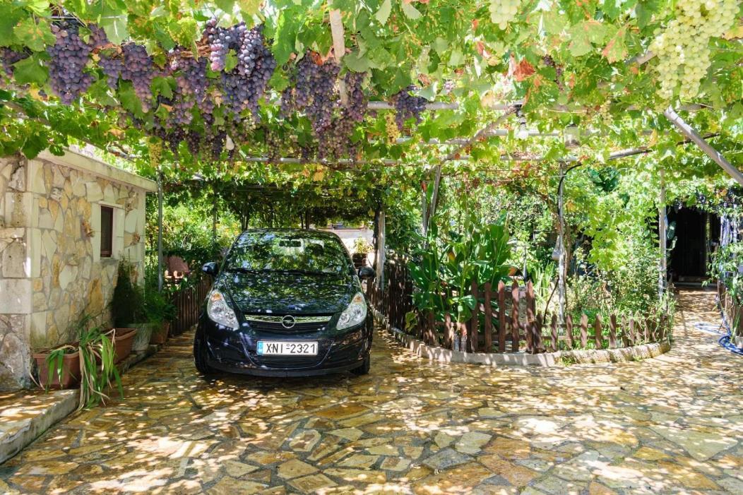 Dimitris'S Country House Agia  Экстерьер фото