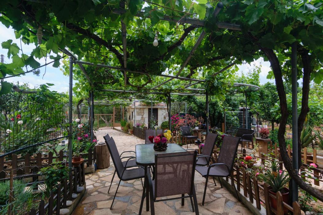 Dimitris'S Country House Agia  Экстерьер фото
