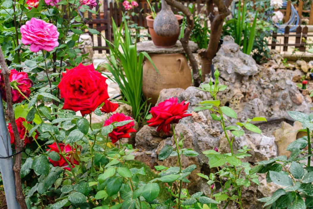 Dimitris'S Country House Agia  Экстерьер фото